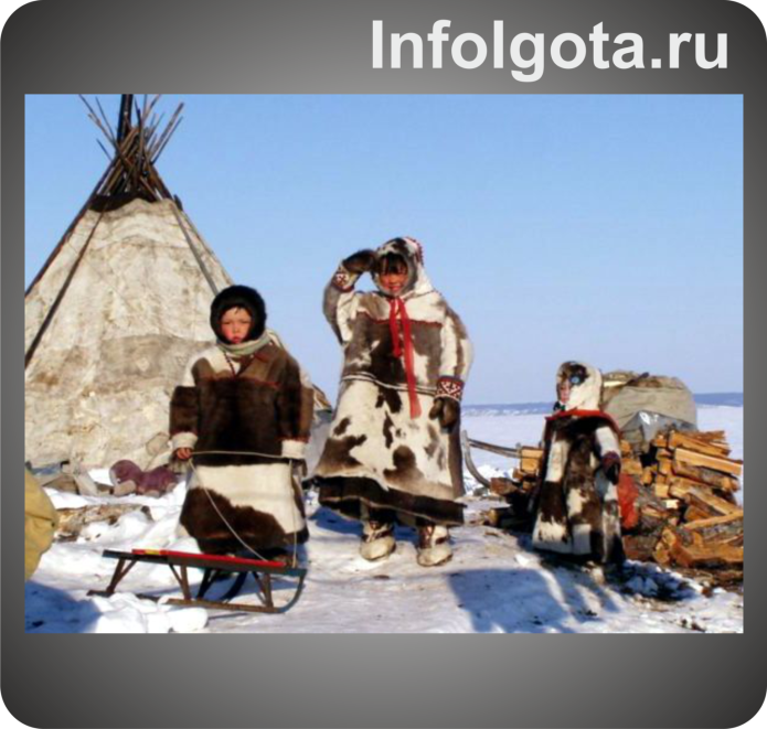 Народы севера ненцы - оленеводы
