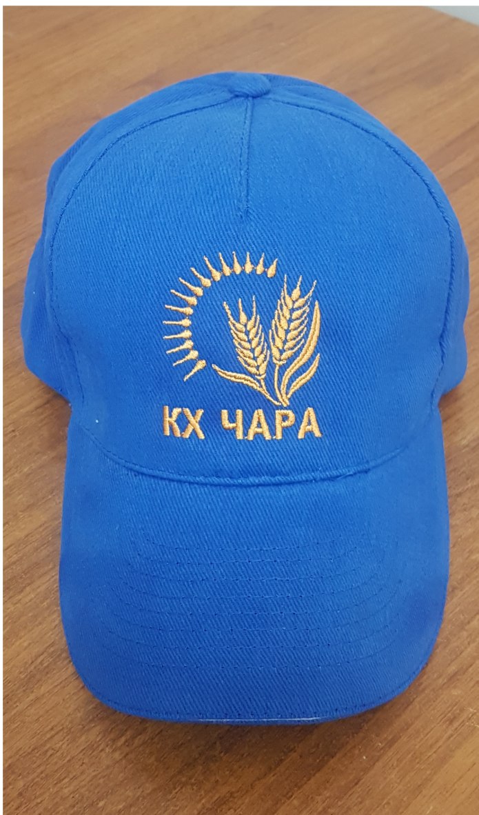 Вышивка на кепке