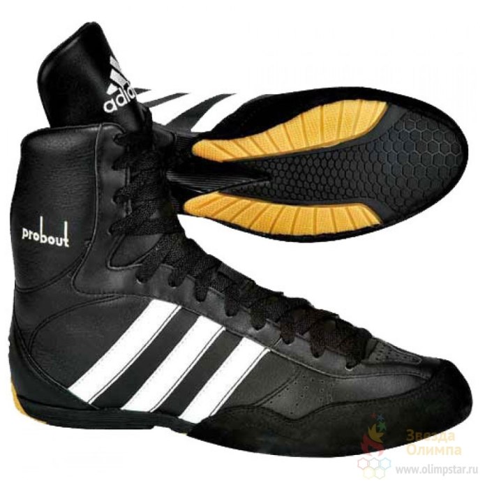 Adidas Basketball Shoes 2000