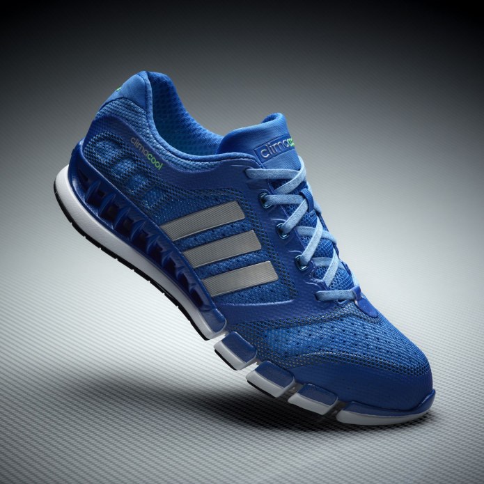 Кроссовки адидас Climacool