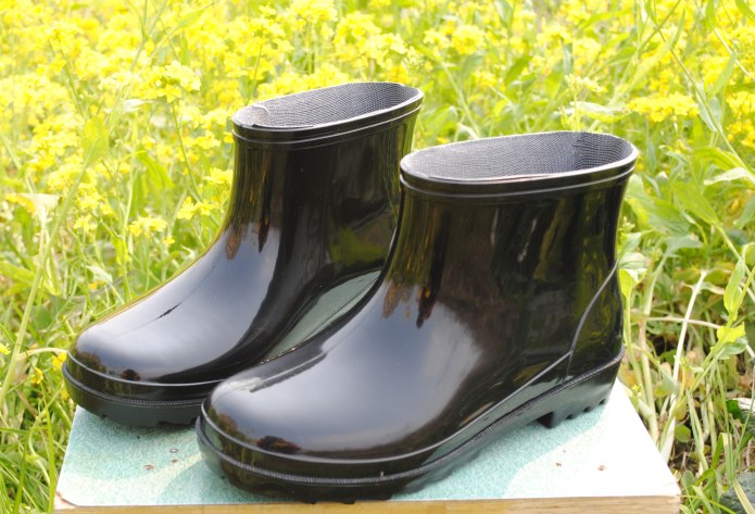 Резиновые сапоги Charlie Boot