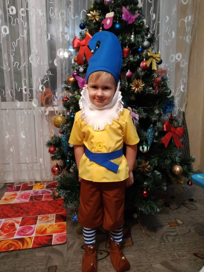 Костюм Gnome костюм Gnome