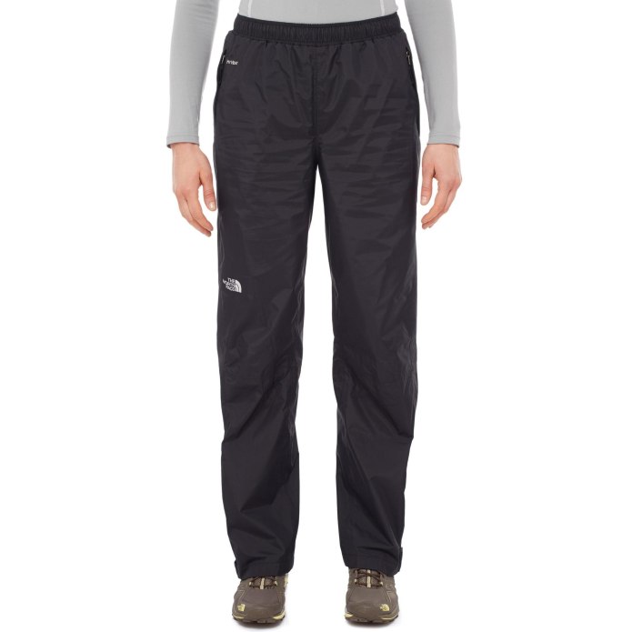 Брюки the North face w Quest Pant