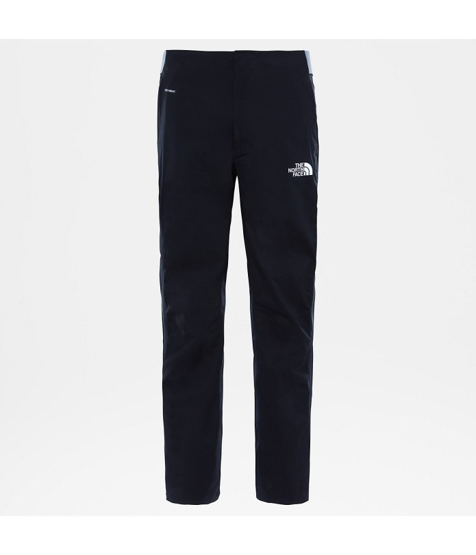 Брюки the North face f20s
