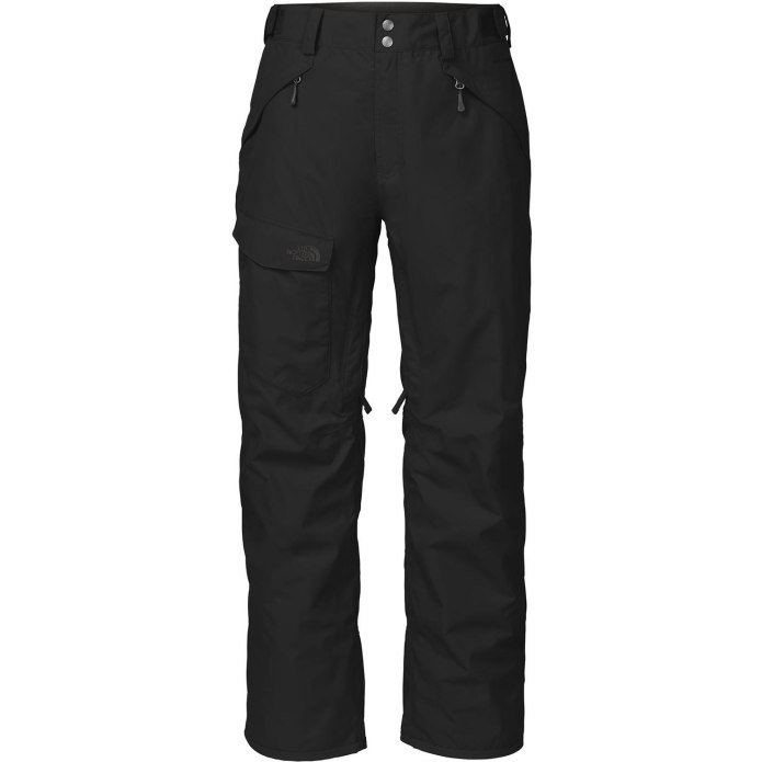 Сноубордические штаны the North face