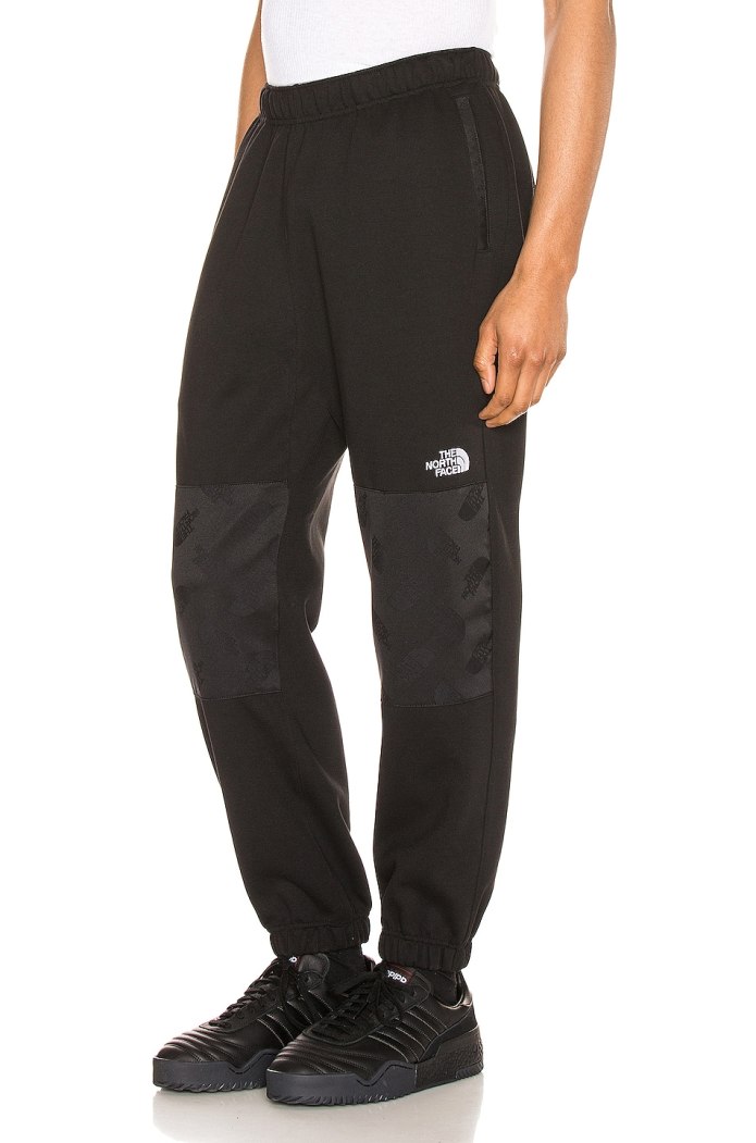 Спортивные штаны the North face