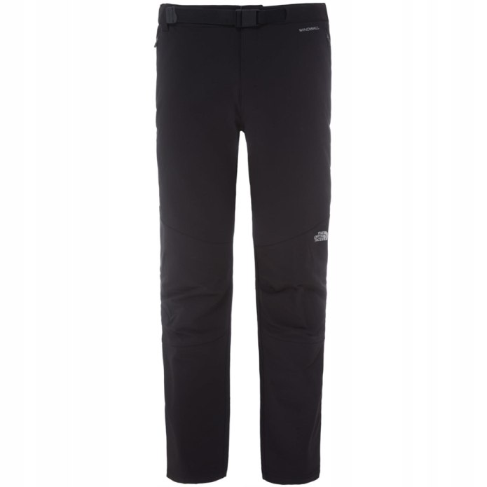 The North face m Ravina брюки