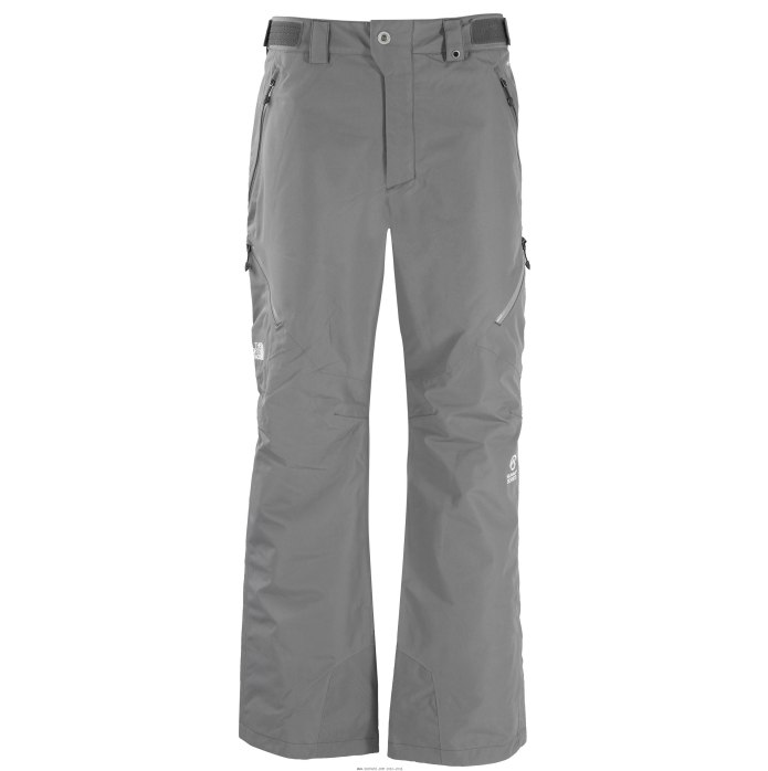 Брюки спортивные the North face m NSE Pant