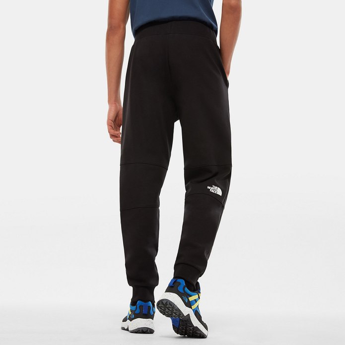 The North face Fine штаны