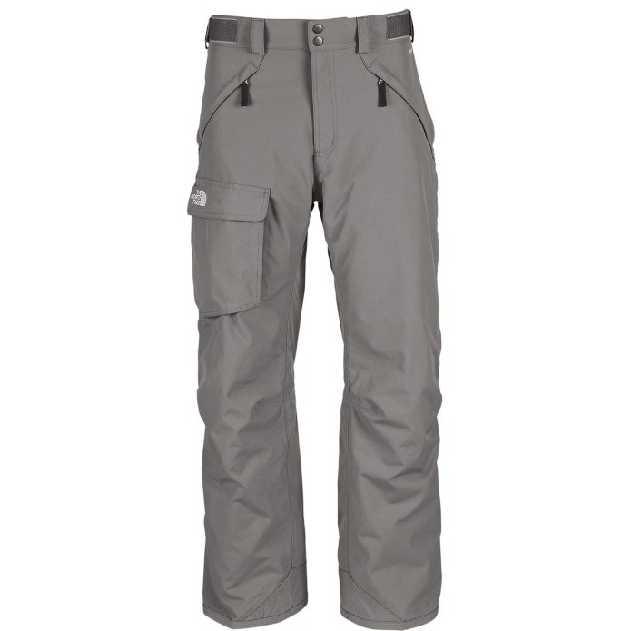 Сноубордические штаны the North face