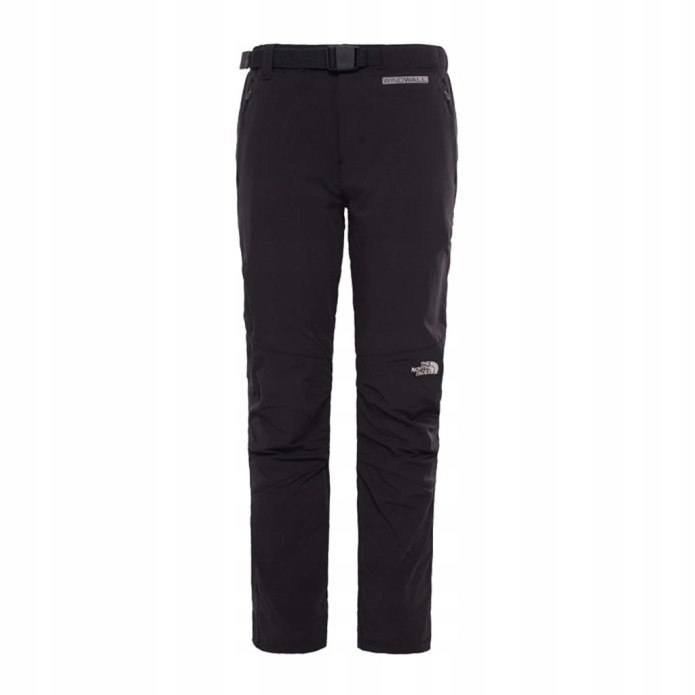 Брюки мужские the North face Standart