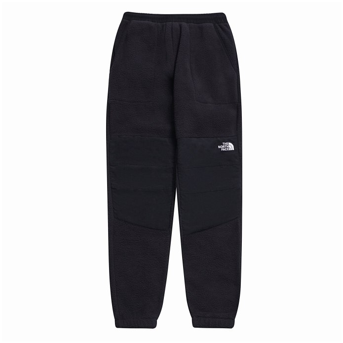 Брюки the North face f20s