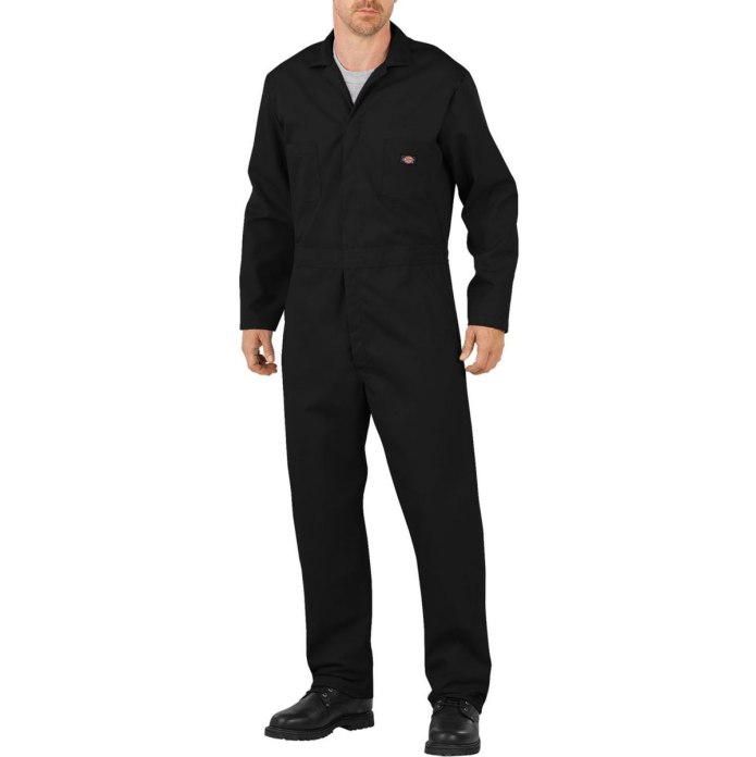 Dickies Bib overall