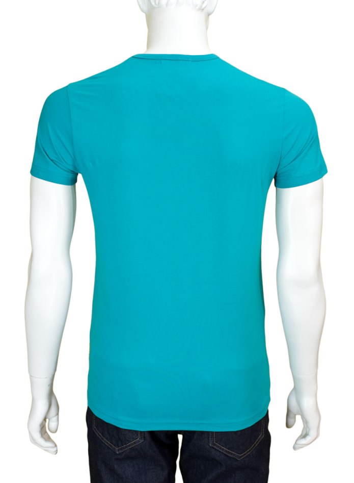 Футболка the North face w SS Prem si dom Tee Storm Blue t93s3t4y3