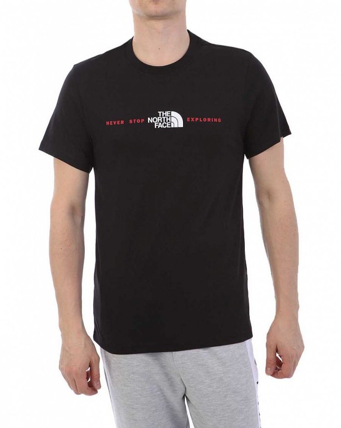 Футболка the North face graphic