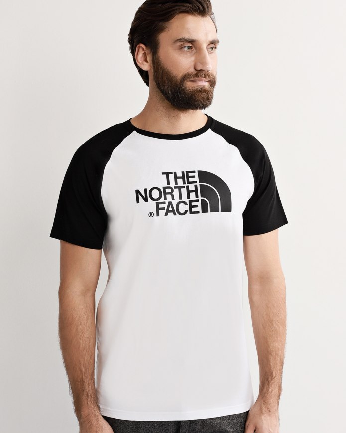 Футболка the North face 196