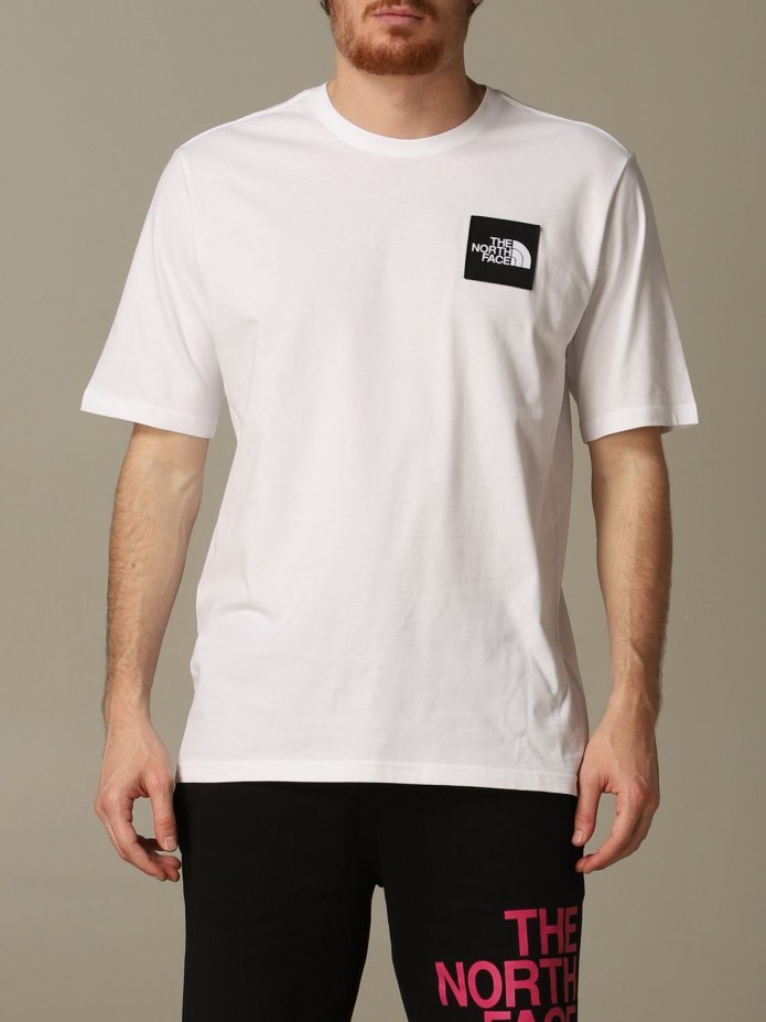 Футболка the North face graphic Play