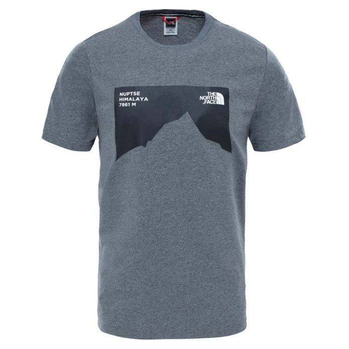 The North face Grey t-Shirt
