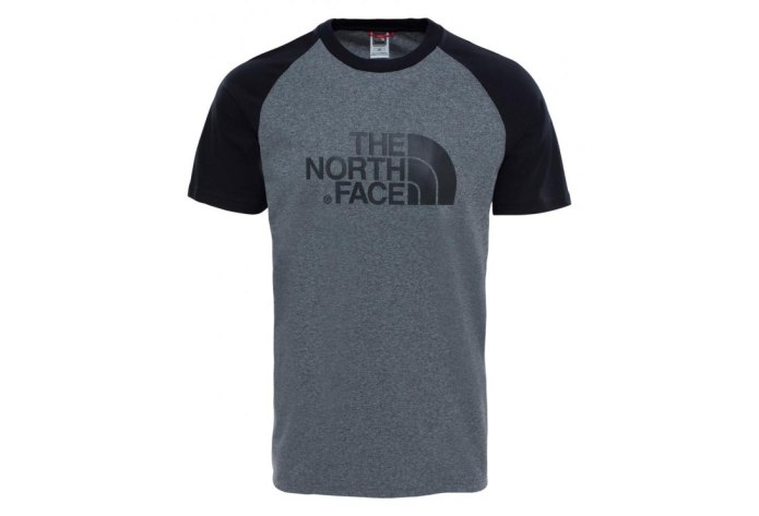 Футболка the North face синий