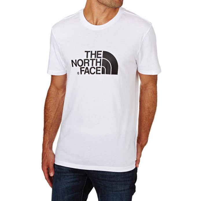 Футболка the North face men Redbox Celebration