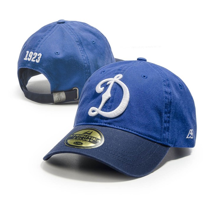 ROADR 500 cap