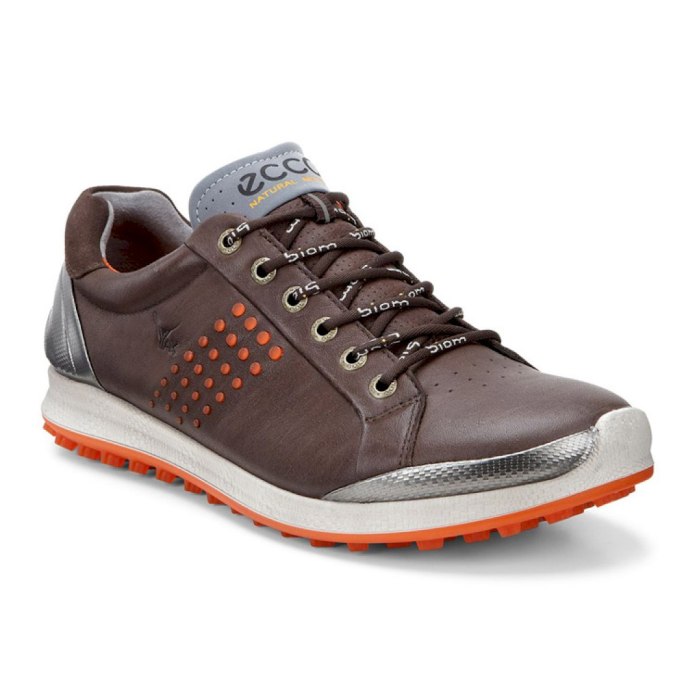 Ecco Biom Hybrid 2