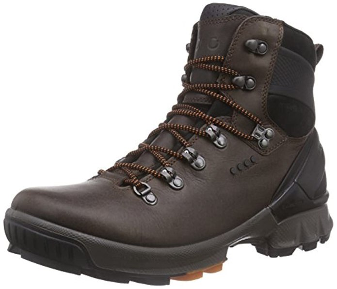 Ecco Biom hike 811524