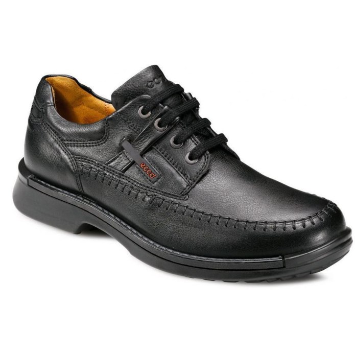 Ecco Shoes men 2012