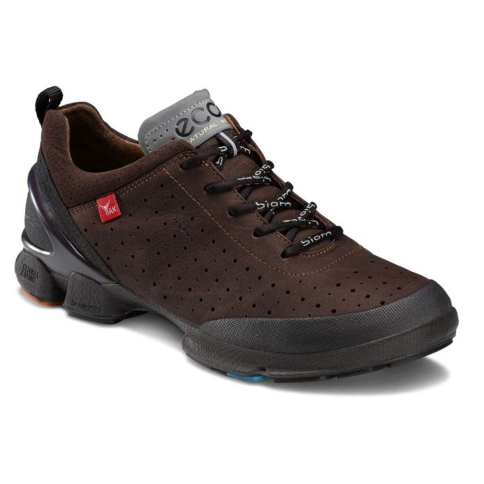Ecco Biom walk