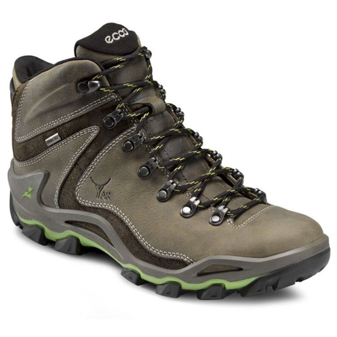 Ecco Terra VG Gore-Tex