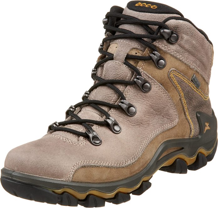 Ecco Terra VG Gore-Tex
