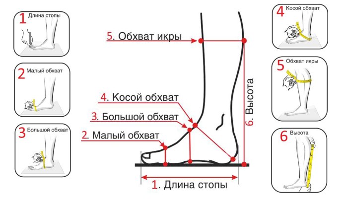 Размер голенища женских сапог