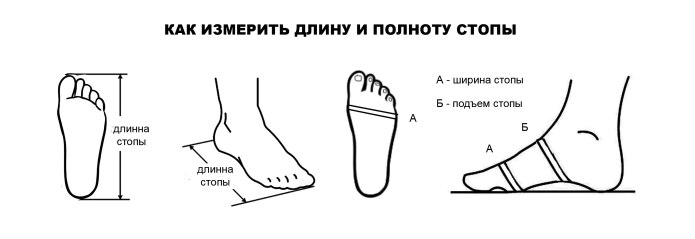 Полнота голенища обуви