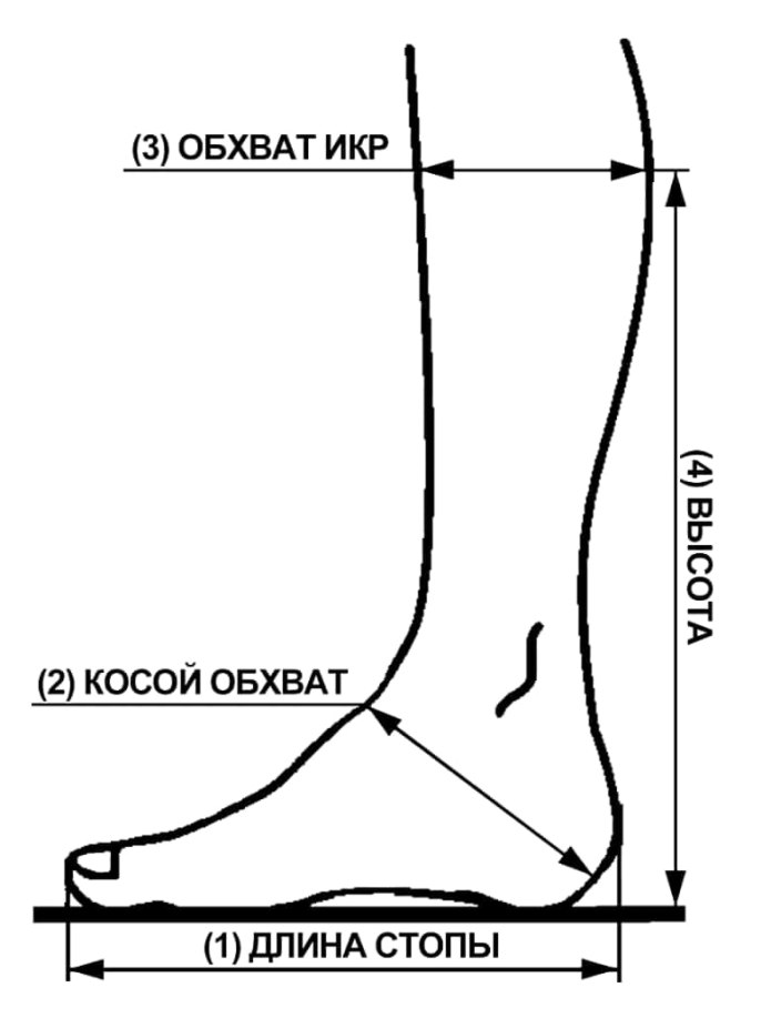 Ширина стопы