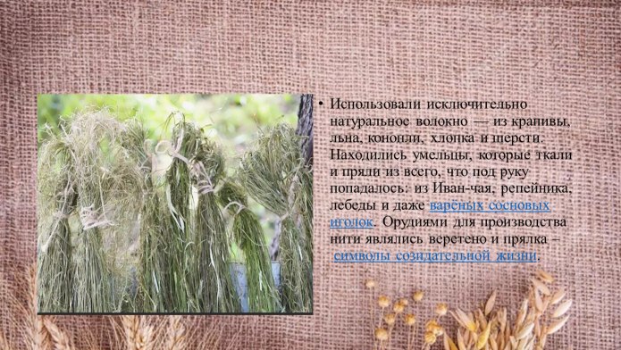 Одежда из крапивы