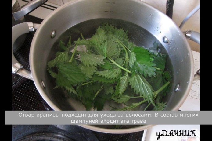 Войлок в древности