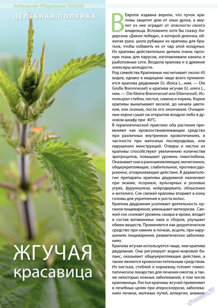 Льняная рубашка мужская с коротким рукавом