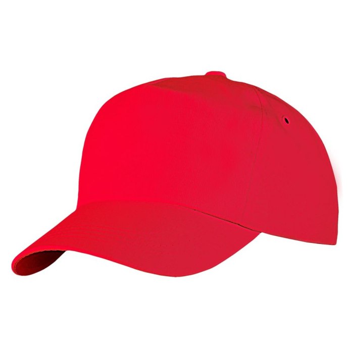 Кепка Ridgeway cap m51