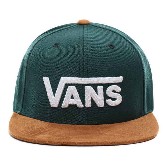 Кепка vans Salton II