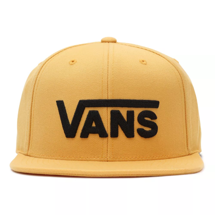 Поролоновая кепка vans