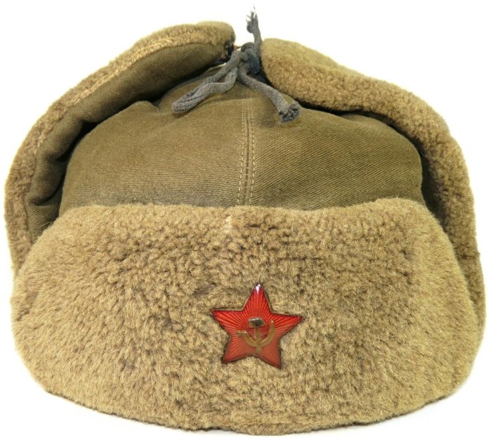 Шапка ушанка the North face