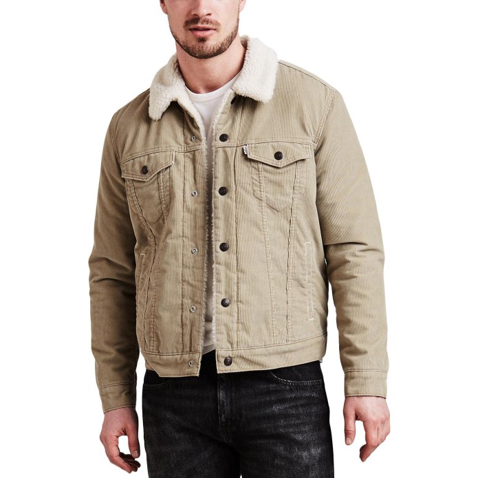 Куртка Levis Type 3 Sherpa Trucker