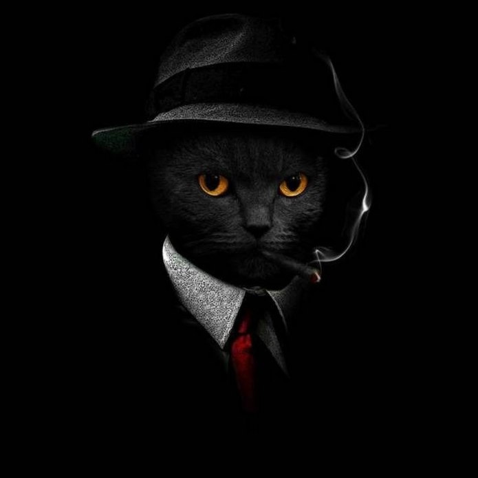 Кот мафиози