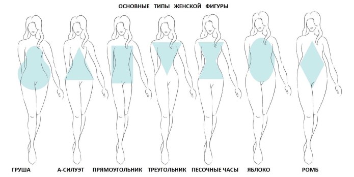 Типы телосложения женских фигур