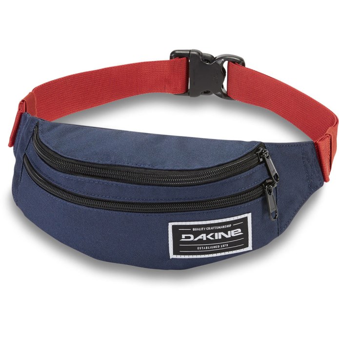 Dakine Hip Pack