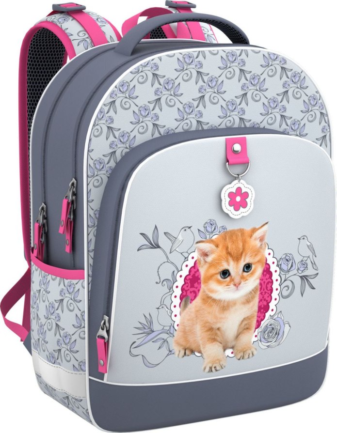 Рюкзак школьный Erich Krause cute Cat