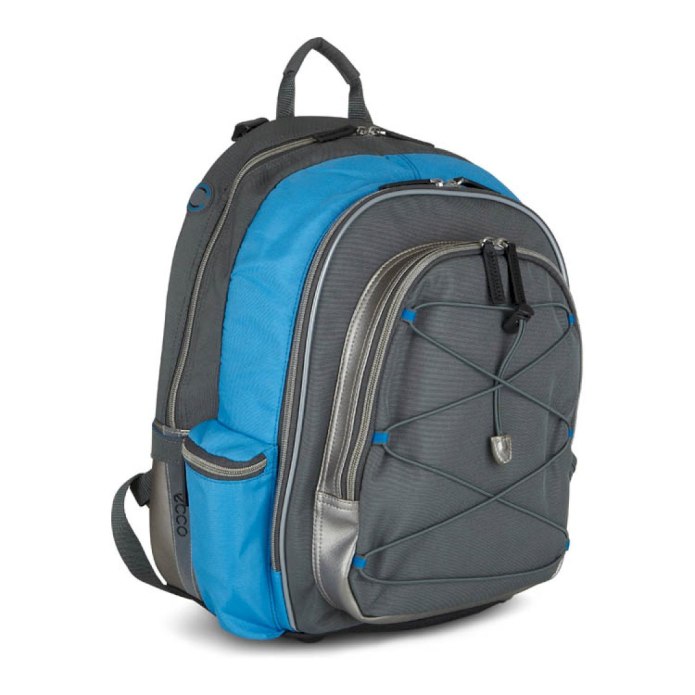 Рюкзак ecco back to School 4579