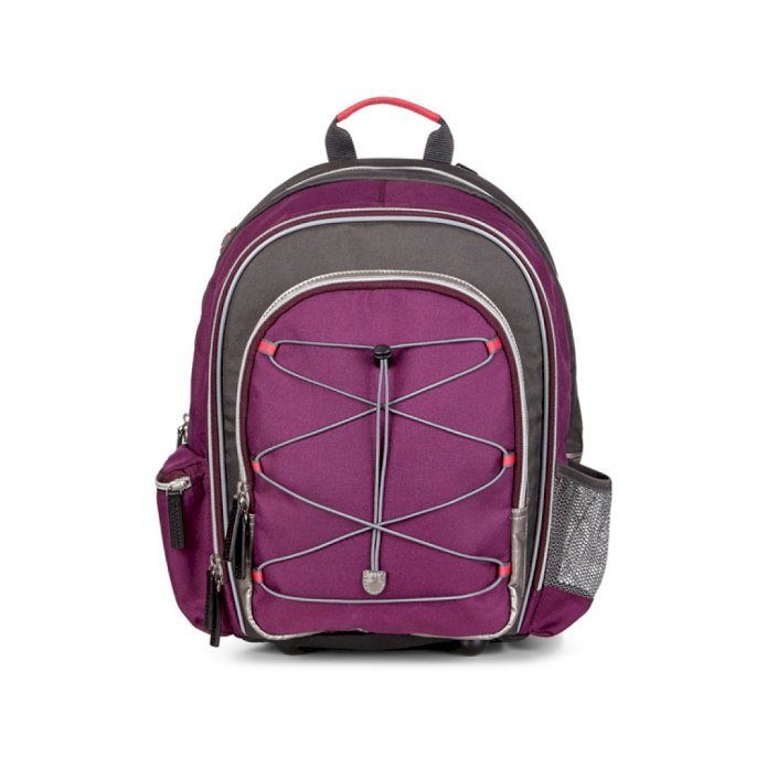 Рюкзак ecco back to School 4579