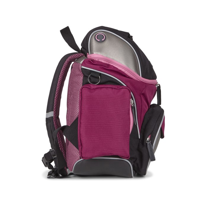 Рюкзак ecco back to School