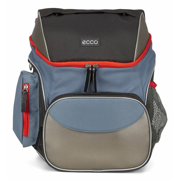 Рюкзак ecco back to School